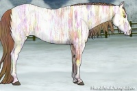 Horse Color:Nacre Bay Ice Pearl 