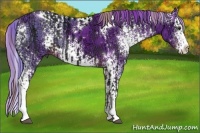 Horse Color:White Spotted Liver Chestnut Ice Rabicano and Watercolor White Spotted Liver Chestnut Ice Splash Rabicano