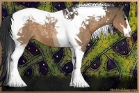 Horse Color:Brown Dun Sabino Tobiano 