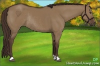Horse Color:Liver Red Dun Rabicano 