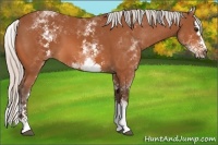 Horse Color:White Spotted Silver Bay Splash 