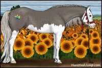 Horse Color:Silver Black Splash 