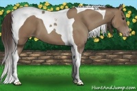 Horse Color:Classic Champagne Tobiano 