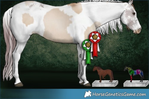 Horse Color:Grullo Pearl Rabicano  and White Spotted Chocolate Black 