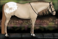 Horse Color:Grullo Snowdrop Pearl Varnish 