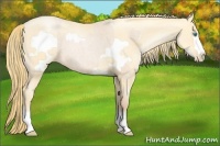 Horse Color:Smoky Blue Roan Pearl  and Smoky Blue Roan Pearl Frame 