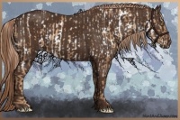 Horse Color:Gold Champagne Appaloosa and Liver Chestnut