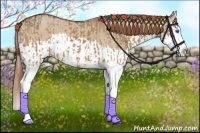 Horse Color:Red Dun Splash and Red Dun Splash