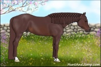 Horse Color:Chocolate Brown 