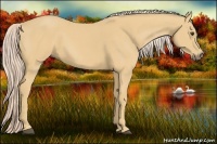 Horse Color:Palomino