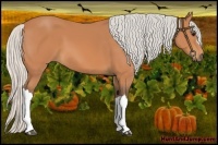 Horse Color:Silver Bay