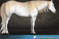 Horse Color:White Spotted Chocolate Palomino Onyx Mushroom Sabino Splash Frame Brindle