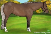 Horse Color:Silver Brown 