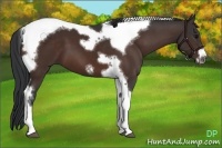 Horse Color:Brown Tobiano Frame 