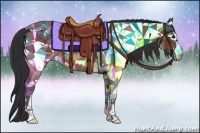 Horse Color:Bay Sabino 