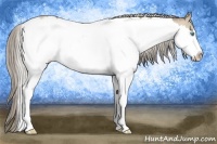 Horse Color:White Spotted Chocolate Palomino Pearl Splash