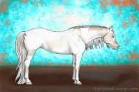 Horse Color:Chocolate Palomino Pearl Dun Appaloosa  and Chocolate Palomino Pearl Dun Appaloosa 