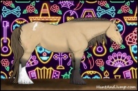 Horse Color:Buckskin Appaloosa