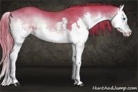 Horse Color:Watercolor Liver Red Onyx Splash