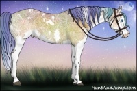 Horse Color:Watercolor White Spotted Buckskin Ice Splash Rabicano 