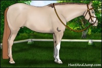 Horse Color:Smoky Black Pearl