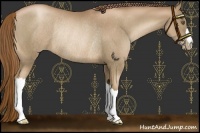 Horse Color:Liver Chestnut Pearl Rabicano 