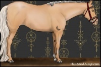 Horse Color:Silver Bay Pearl