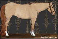 Horse Color:Red Dun Roan Pearl Rabicano 