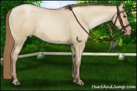 Horse Color:Grullo Snowdrop Varnish Rabicano 