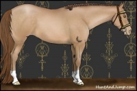 Horse Color:Brown Pearl