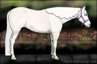 Horse Color:Silver Perlino Dun
