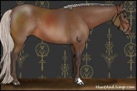 Horse Color:Silver Brown 