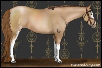 Horse Color:White Spotted Liver Chestnut Pearl 