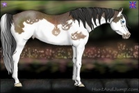 Horse Color:Brown Splash Frame Rabicano