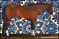 Horse Color:Brown Splash Frame Rabicano