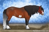 Horse Color:Brown Splash Frame Rabicano
