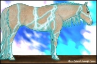 Horse Color:Thunderstruck Palomino Sabino 