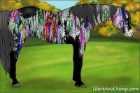 Horse Color:Smoky Black Ice Splash Tobiano