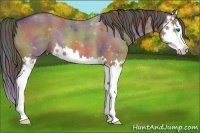 Horse Color:Nacre Brown Dun Splash 