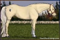 Horse Color:Palomino Dun 
