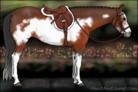 Horse Color:Brown Splash Frame Rabicano 