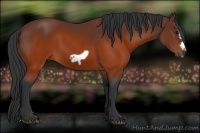 Horse Color:Brown Splash Frame Rabicano 