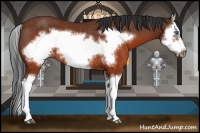 Horse Color:Brown Splash Frame Rabicano 