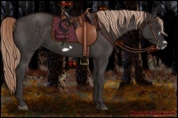 Horse Color:Liver Chestnut Splash Frame Rabicano