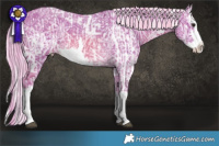 Horse Color:Watercolor Silver Bay Ice Dun Sabino  and Watercolor White Spotted Chocolate Palomino Ice Splash 