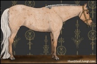 Horse Color:Silver Bay Roan 