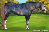 Horse Color:Painted White Spotted Blue Onyx Ice 