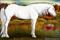 Horse Color:Cremello Roan Splash and Cremello Roan Splash Near Leopard