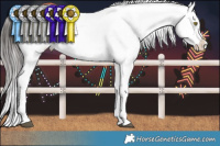 Horse Color:Brown Dun Snowflake VarnishRabicano Brindle