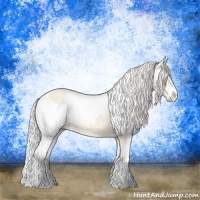 Horse Color:Cremello Splash  and Cremello Splash Appaloosa 